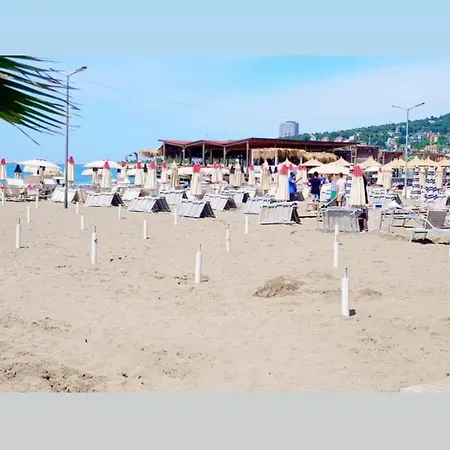 - Shëngjin